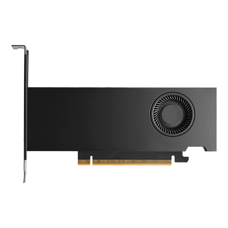 Carte graphique Pro NVIDIA RTX 2000 Blackwell 16Go